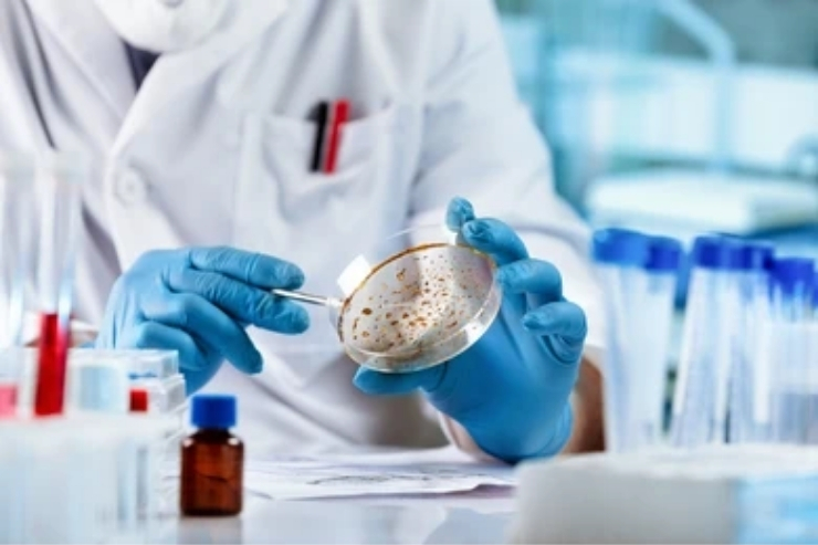 Microbiology Sunrays Diagnostic, Diagnostic Healthcare Services